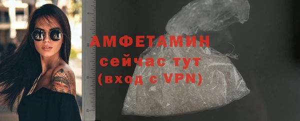 гидра Бородино