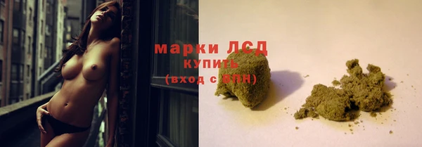 гидра Бородино