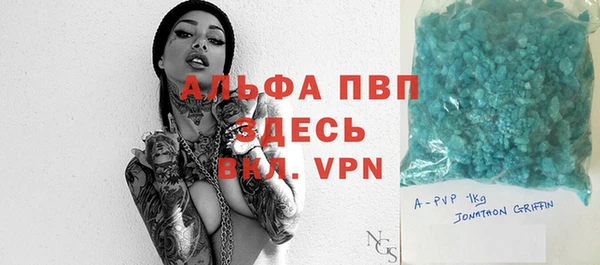 гидра Бородино