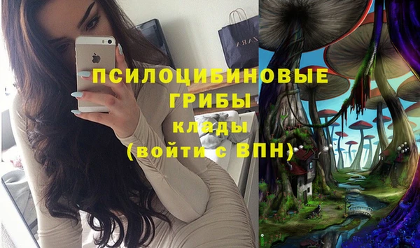 гидра Бородино