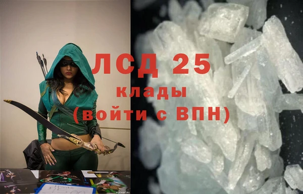 гидра Бородино