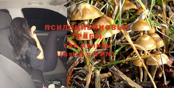 прущая мука Бронницы