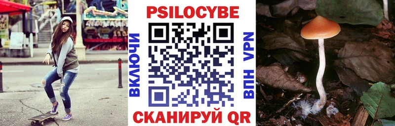 OMG вход  Крым  Галлюциногенные грибы мицелий  купить наркотики цена 